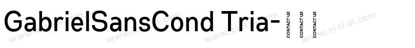 GabrielSansCond Tria字体转换